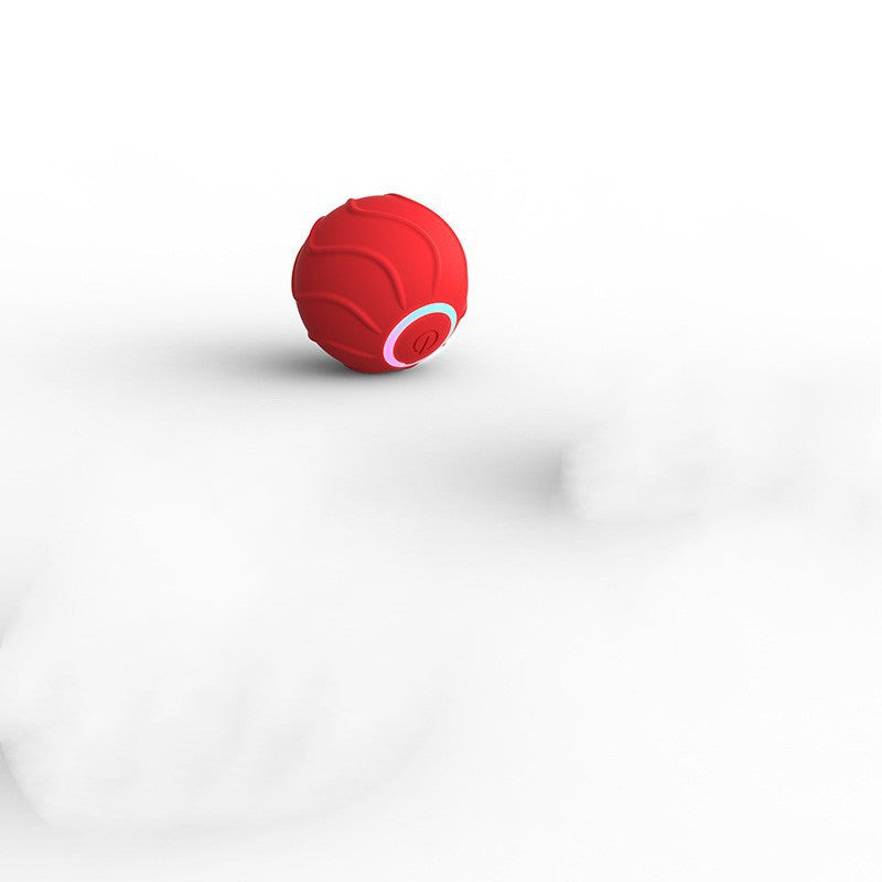 Smart Rolling Ball Toy