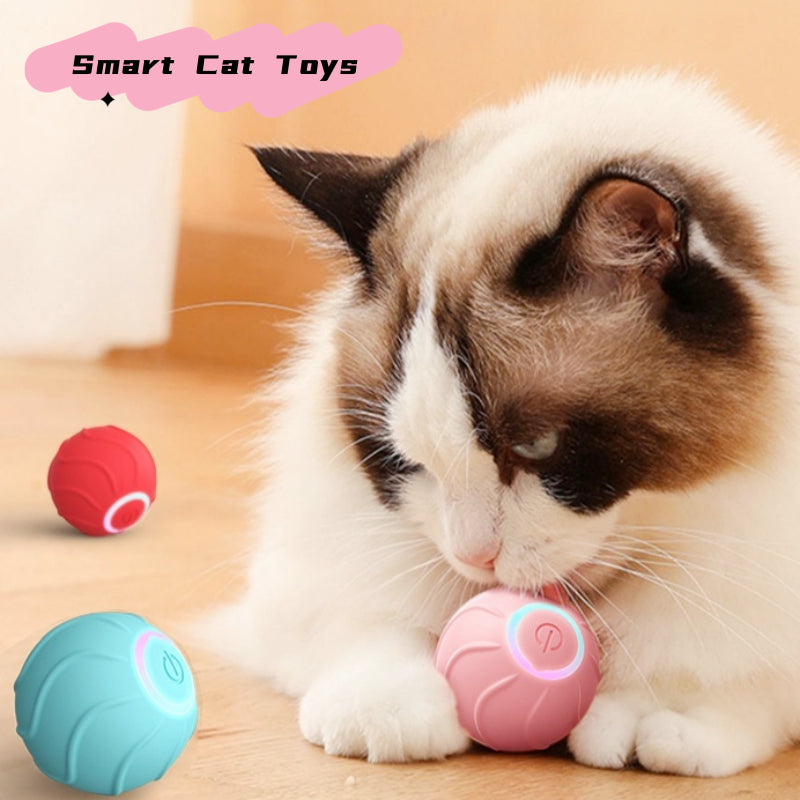 Smart Rolling Ball Toy