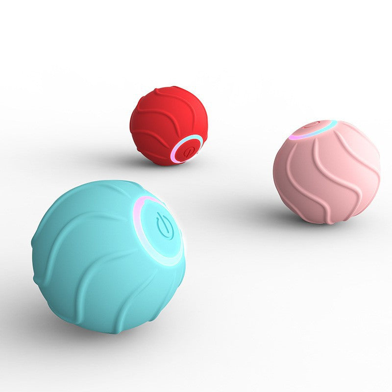 Smart Rolling Ball Toy