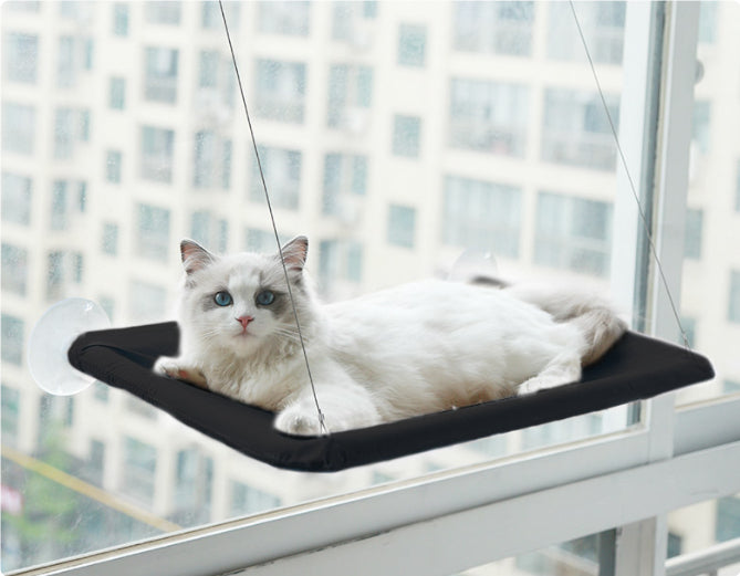 Mounted Window Hammock